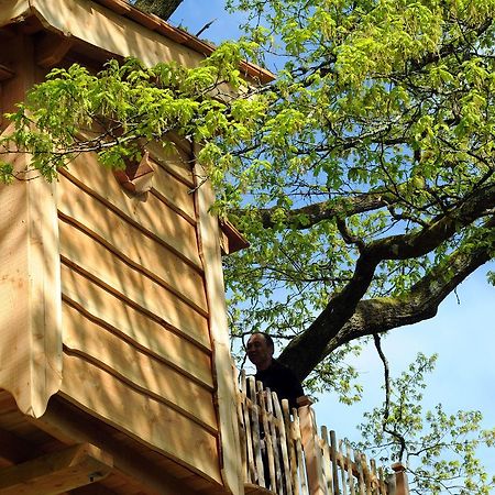 La Cabane du Vieux Chêne Susmiou Extérieur photo
